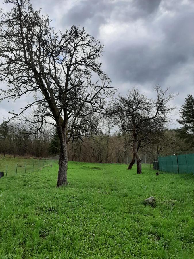 Vila Babickin Dom Medzilaborce Exteriér fotografie