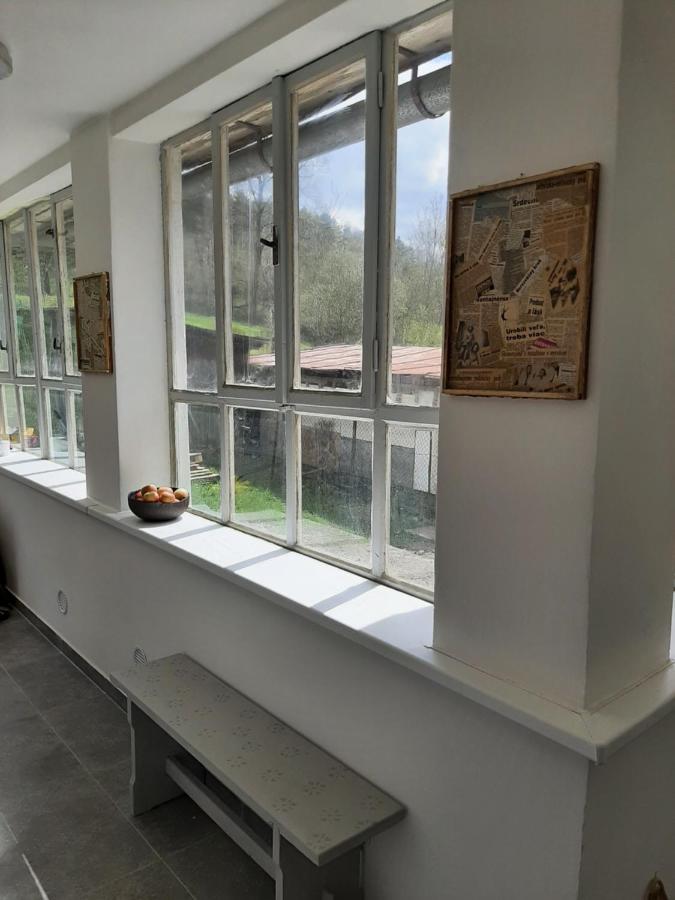Vila Babickin Dom Medzilaborce Exteriér fotografie