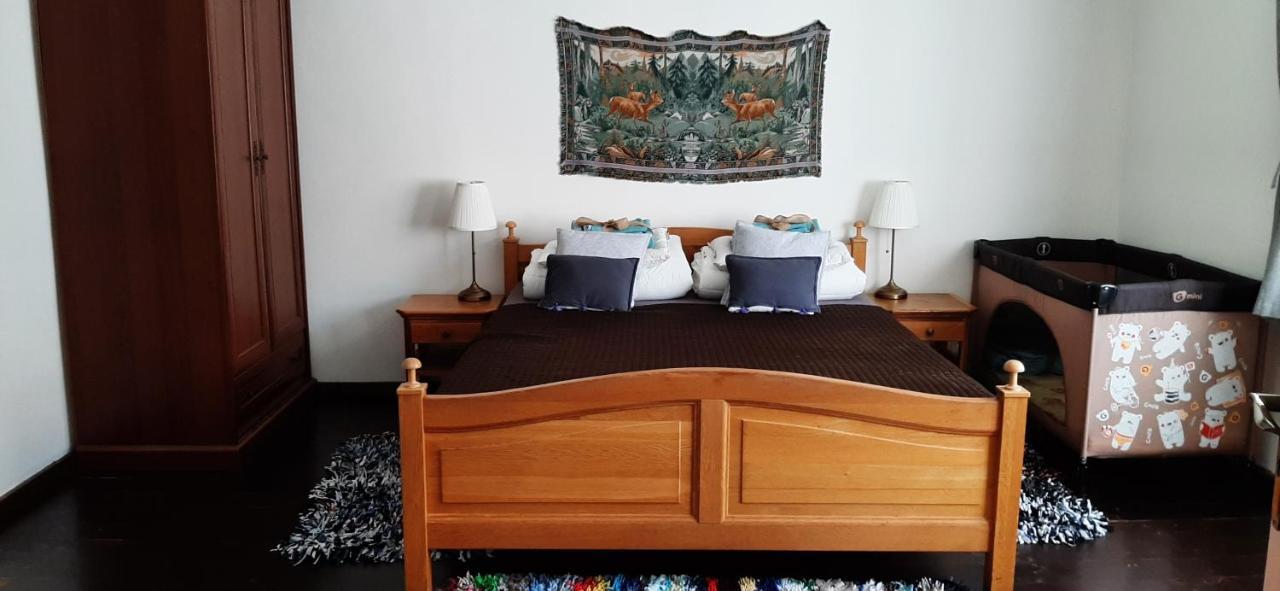 Vila Babickin Dom Medzilaborce Exteriér fotografie